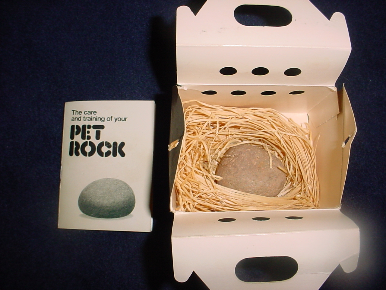 The Allee Willis Museum Of Kitsch » Pet Rock