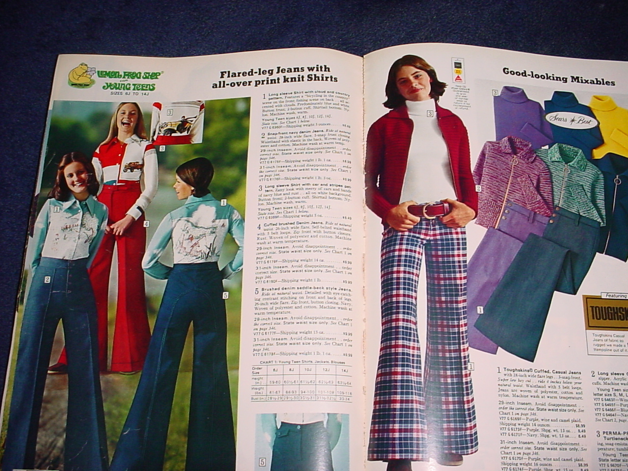 The Allee Willis Museum Of Kitsch 1975 Sears Catalog 